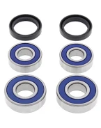 Rulmenti roata spate cu simeringuri All Balls BMW F650GS DAKAR '00-'07, F650GS '99-'07, G650GS '08-'09