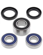 Rulmenti roata fata cu simeringuri All Balls HONDA CBR 600F4 '01-'06