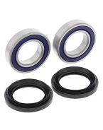 Rulmenti roata spate cu simeringuri All Balls YAMAHA YFM 125 GRIZZLY '13