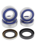 Rulmenti roata spate cu simeringuri All Balls BMW G650X '06-'07