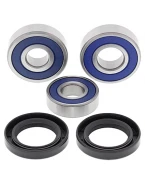 Rulmenti roata spate cu simeringuri All Balls HONDA CBR250/300R '11-'16, CB300F '15-'16