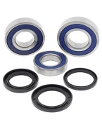 Rulmenti roata spate cu simeringuri All Balls YAMAHA YZF R1 '15-'18