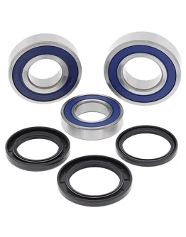 Rulmenti roata spate cu simeringuri All Balls YAMAHA YZF R1 '15-'18