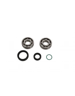 Rulmenti arbore cotit cu simeringuri All Balls GAS-GAS MC 50 '24, HUSQVARNA TC 50 '24, KTM SX 50 '24