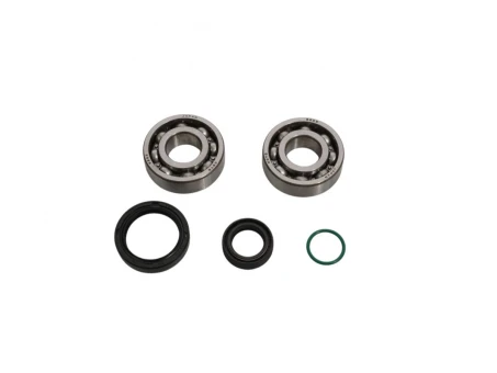 Rulmenti arbore cotit cu simeringuri All Balls GAS-GAS MC 50 '24, HUSQVARNA TC 50 '24, KTM SX 50 '24