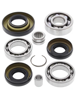 Kit reparatie diferential fata All Balls HONDA TRX 350 FE/FM '00-'06