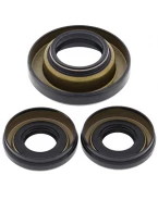 Simeringuri diferential fata All Balls HONDA TRX 400FW '95-'01, TRX450S/ES '98-'01