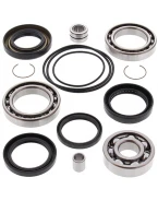Kit reparatie diferential spate All Balls HONDA TRX 300 FOURTRAX '88-'00