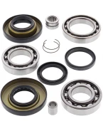 Kit reparatie diferential spate All Balls HONDA TRX 350 '00-'06, TRX 400 '04-'07