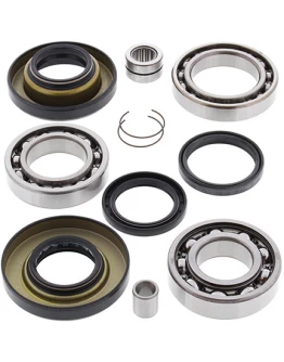 Kit reparatie diferential spate All Balls HONDA TRX 350 '00-'06, TRX 400 '04-'07