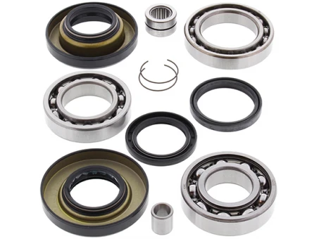 Kit reparatie diferential spate All Balls HONDA TRX 350 '00-'06, TRX 400 '04-'07