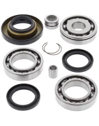 Kit reparatie diferential spate All Balls HONDA TRX 400 FW '95-'01, TRX 450 S/ES '98-'01