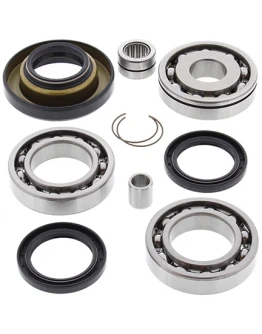 Kit reparatie diferential spate All Balls HONDA TRX 400 FW '95-'01, TRX 450 S/ES '98-'01