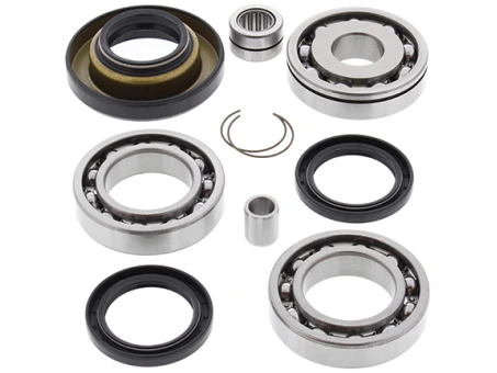 Kit reparatie diferential spate All Balls HONDA TRX 400 FW '95-'01, TRX 450 S/ES '98-'01