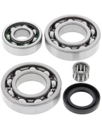 Kit reparatie diferential spate All Balls KAWASAKI KLF220 BAYOU '88-'02, KLF250 BAYOU '03-'11