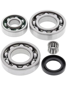 Kit reparatie diferential spate All Balls KAWASAKI KLF220 BAYOU '88-'02, KLF250 BAYOU '03-'11