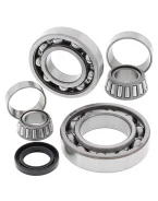 Kit reparatie diferential spate All Balls KAWASAKI KLF300 BAYOU '88-'04