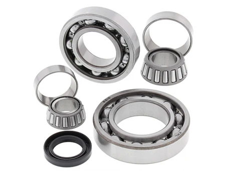 Kit reparatie diferential spate All Balls KAWASAKI KLF300 BAYOU '88-'04