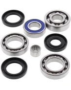 Kit reparatie diferential spate All Balls ARCTIC CAT 375/400 '02-04, 400 VP '05-06, 500 '02