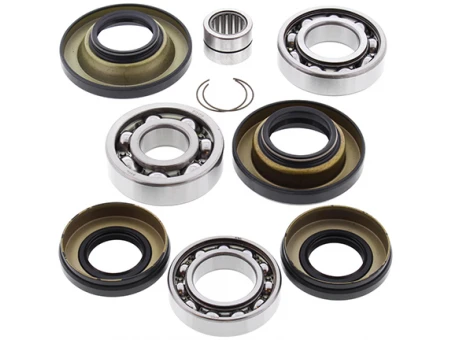 Kit reparatie diferential spate All Balls HONDA TRX 650/680 RINCON '03-'17