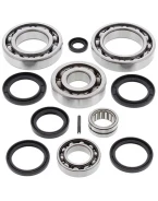 Kit reparatie diferential spate All Balls KAWASAKI KVF650 BRUTE FORCE '05-'13, SUZUKI LTV-700F TWIN PEAKS '04-'06
