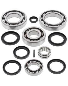Kit reparatie diferential spate All Balls KAWASAKI KVF650 BRUTE FORCE '05-'13, SUZUKI LTV-700F TWIN PEAKS '04-'06