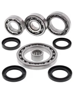 Kit reparatie diferential spate All Balls SUZUKI LT-A500F QUAD MASTER (01), LT-F500F '01-'02
