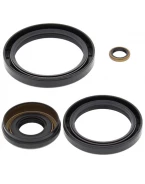 Simeringuri diferential fata All Balls KAWASAKI KVF 360/650/750, SUZUKI TWIN PEAKS 700 '04-'06