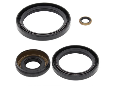 Simeringuri diferential fata All Balls KAWASAKI KVF 360/650/750, SUZUKI TWIN PEAKS 700 '04-'06