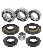 Kit reparatie diferential spate All Balls HONDA TRX420 FA/FPA '09-'14