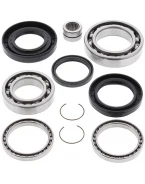 Kit reparatie diferential spate All Balls HONDA TRX 420 '07-'13