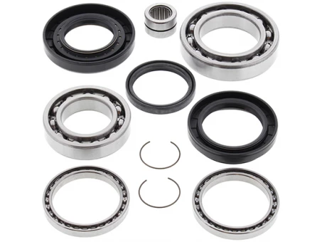 Kit reparatie diferential spate All Balls HONDA TRX 420 '07-'13