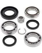 Kit reparatie diferential spate All Balls HONDA TRX420 FA/FM/FE/TE/TM '14-'15, TRX500 FE/FM/FPE/FPM '12-'15
