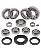 Kit reparatie diferential spate All Balls POLARIS SPORTSMAN / HAWKEYE