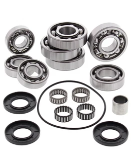 Kit reparatie diferential spate All Balls POLARIS SCRAMBLER 500 '02-'12 (4X4)
