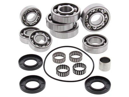 Kit reparatie diferential spate All Balls POLARIS SCRAMBLER 500 '02-'12 (4X4)