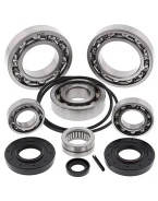 Kit reparatie diferential spate All Balls KAWASAKI TERYX 750 '08-'13