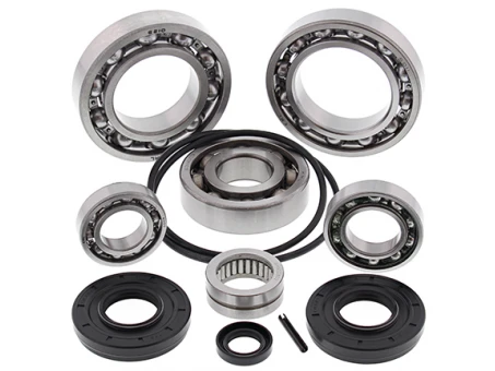 Kit reparatie diferential spate All Balls KAWASAKI TERYX 750 '08-'13