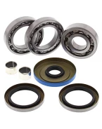 Kit reparatie diferential spate All Balls POLARIS SPORTSMAN