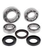 Kit reparatie diferential spate All Balls YAMAHA YFM 450 GRIZZLY '11-14