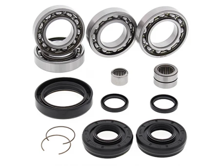 Kit reparatie diferential fata All Balls HONDA TRX 420 '14-17