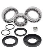 Kit reparatie diferential spate All Balls KAWASAKI KVF 300 BRUTE FORCE '12-'18