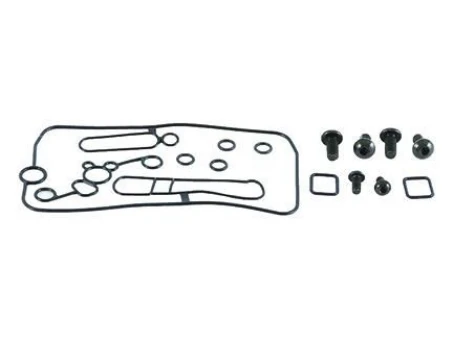 Kit reparatie carburator All Balls (Z USZCZELKAMI) HONDA CRF250R '04-'06, CRF250X '04-'07, CRF450R '02-'06, KXF250 '04-'10, KXF450 '06-'08