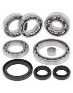 Kit reparatie diferential fata All Balls CF MOTO, POLARIS RANCHER 500 '11-'13, RANCHER 600 '11-13, TRACKER 800 '13-14,TERRACROSS 600/625/800
