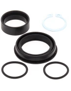 Kit reparatie ax pinion All Balls SUZUKI RM 250 '03-'08, RMZ 250 '13-'22 (OSK0030)