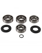Kit reparatie cutie de viteze All Balls POLARIS SPORT 400 '99