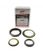 Rulmenti coloana directie cu simeringuri All Balls HONDA GL 1800 GOLD WING '18-'19