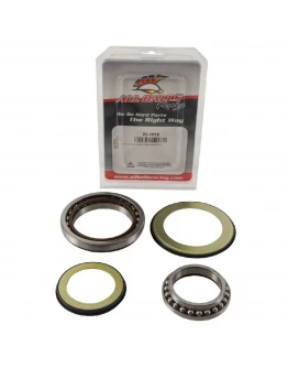 Rulmenti coloana directie cu simeringuri All Balls HONDA GL 1800 GOLD WING '18-'19