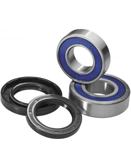 Rulmenti roata fata cu simeringuri All Balls DUCATI MULTISTRADA ENDURO 1200 16-17