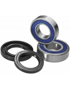 Rulmenti roata spate cu simeringuri All Balls GAS-GAS EC125 13-14, EC200 14, EC250 14, EC250 4T 14, EC300 14